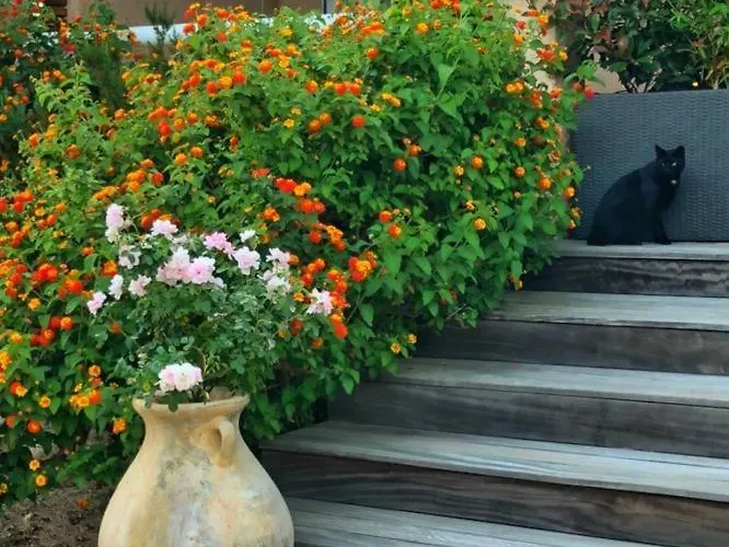 Апартаменти Mora Dell Onda *