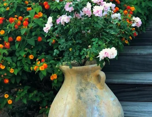 Mora Dell Onda Appartement Porto-Vecchio (Corsica)